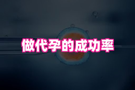 长春助孕网 1