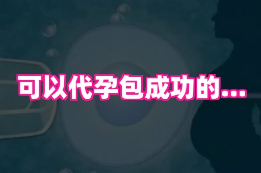 长春助孕网 3